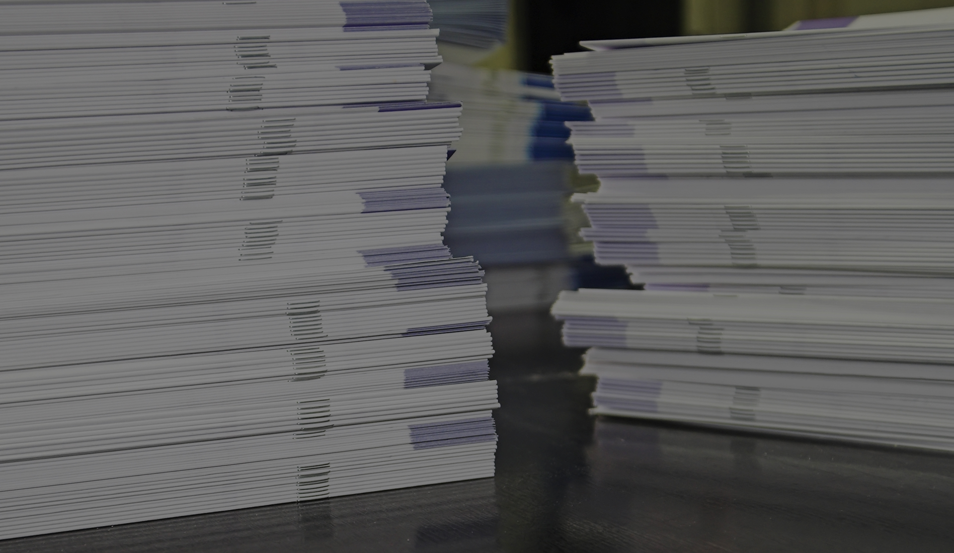 일산전단지 비주얼