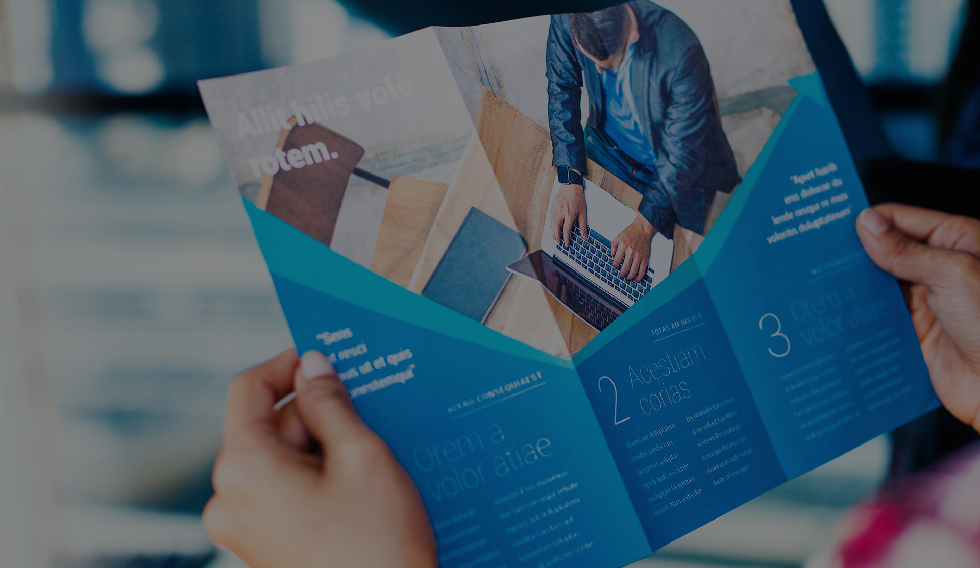 일산전단지 비주얼